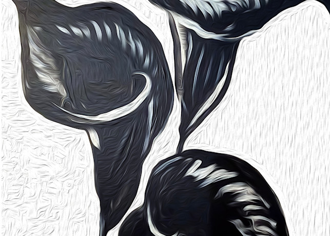 Black Lillies Print Version Art | leannaarts