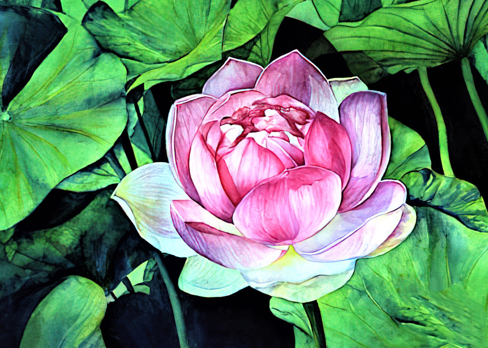 Watercolor Floral 4828 Art | Francine Warren Art