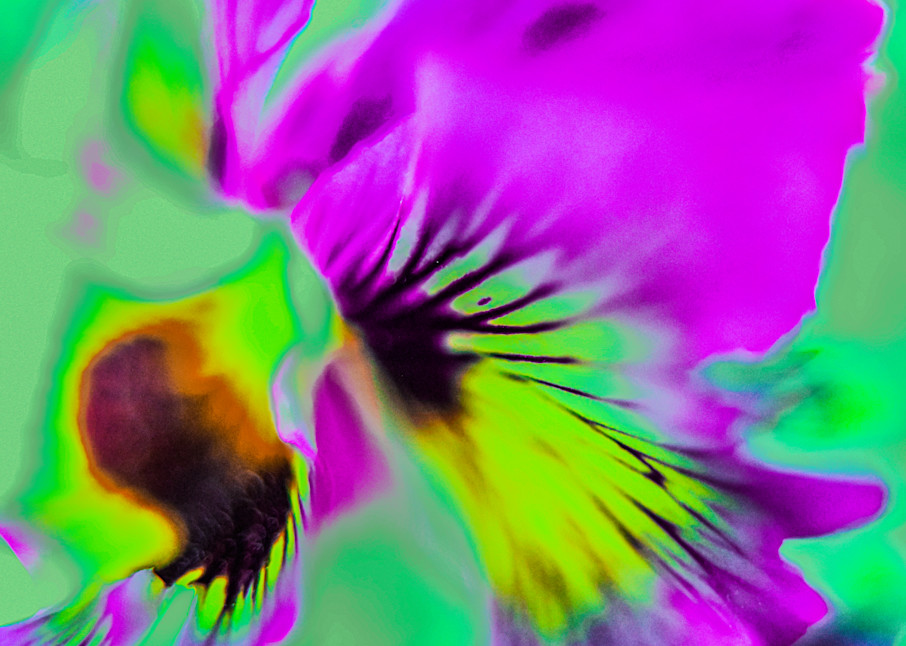 Abstract Flower Photography Art | John's Photos