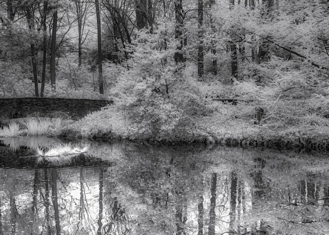BW Reflecting Pond