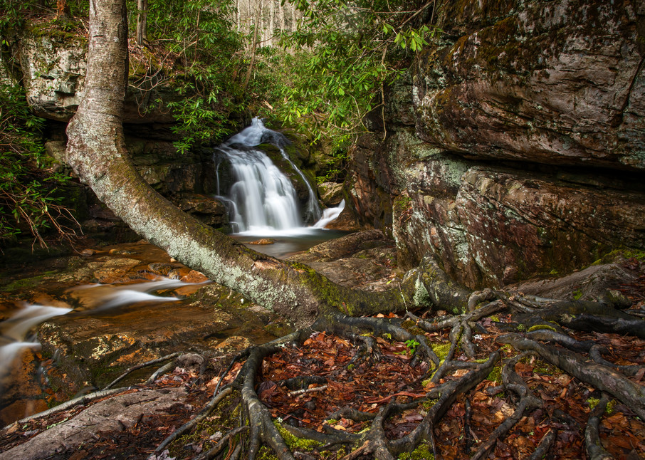 Above Blue Hole Falls - Tennessee waterfalls fine-art photography prints