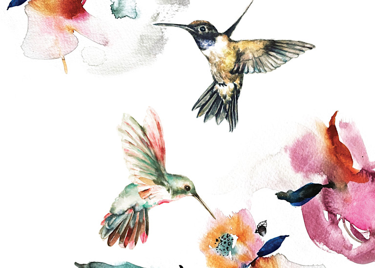 Prints_new hummingbird set_ASF