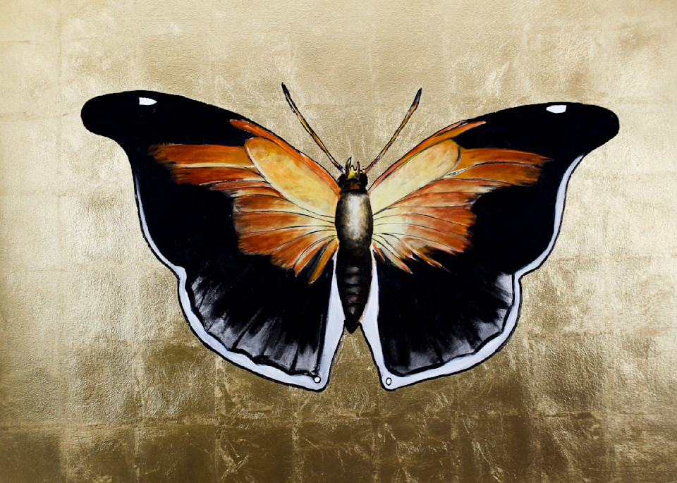 Golden Butterfly Art | Brad Marr