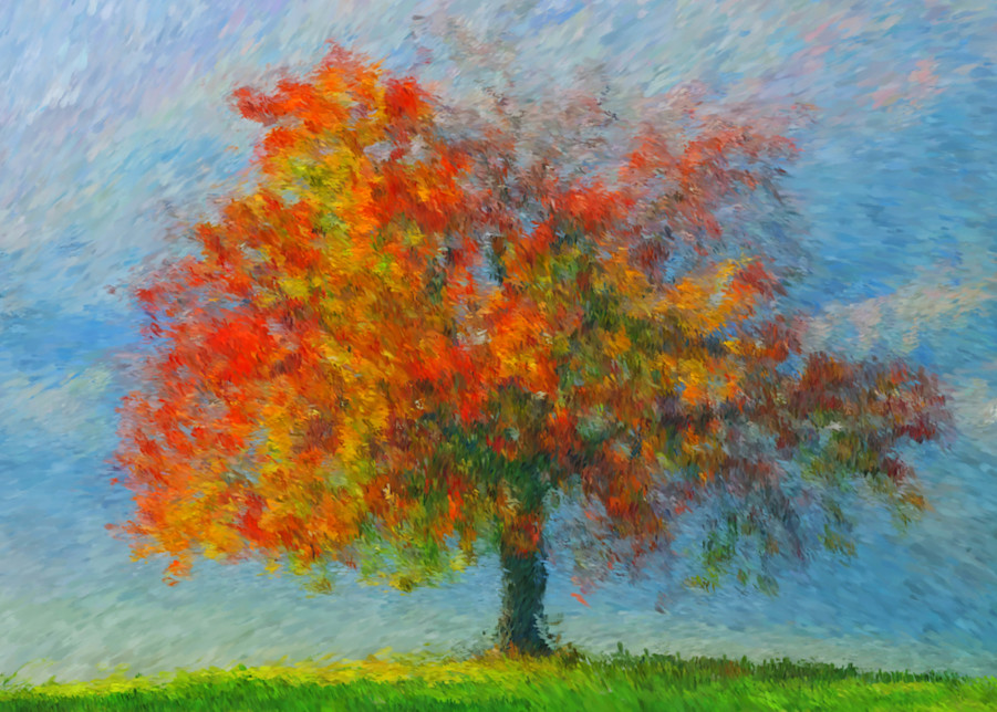 Autumn Tree Art | Colorfusion Art