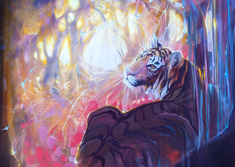 print of spellbound tigress by Gill Bustamante