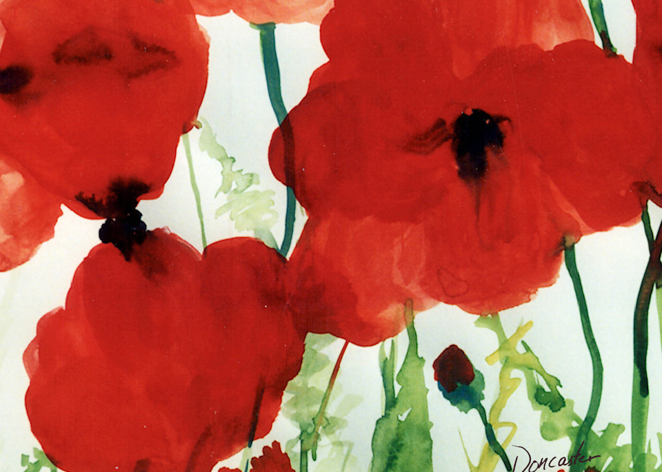 Poppies Art | Barbara Doncaster Watermedia 