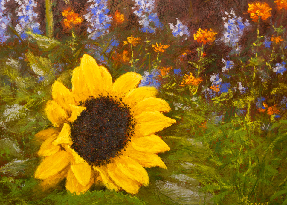 Garden Sunflower Art | Mark Grasso Fine Art