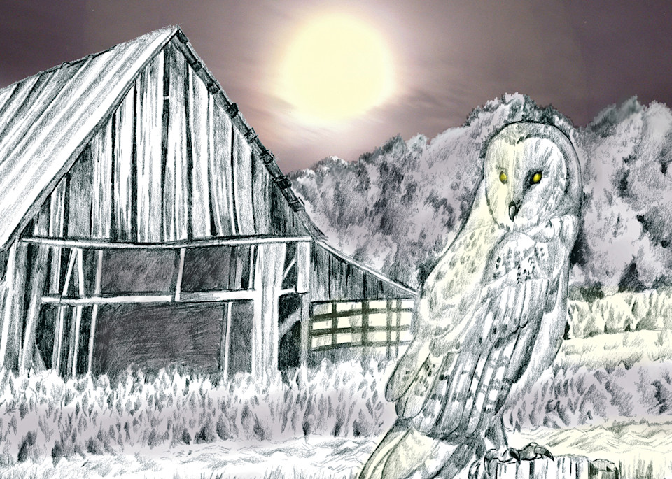 Barn Owl Art | Judy's Art Co.