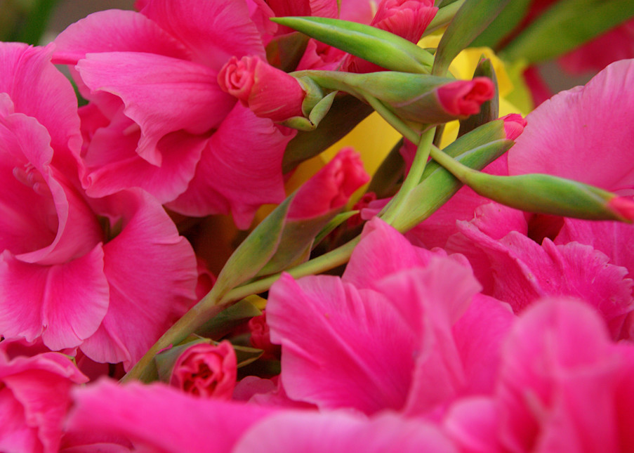 Pink Bouquet  Photography Art | Lauramarlandphoto.com