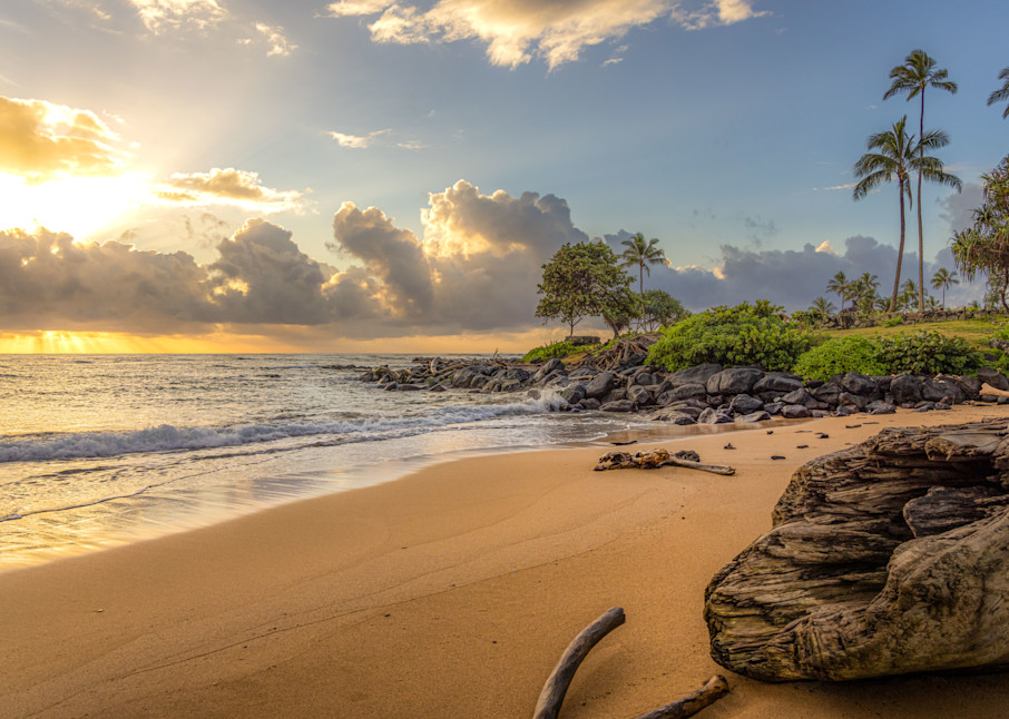 Driftwood Trees at Lydgate Beach, Kauai | Hawaii Photography | Tim Truby 