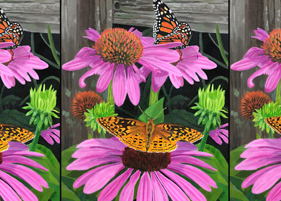 Butterflies At The Coneflower Buffet Art | Judy's Art Co.