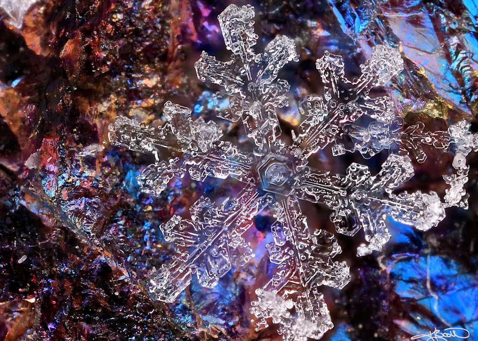 Snowflake On Choco Pyrite / Peacock Ore Photography Art | Real Snowflake Photography LLC