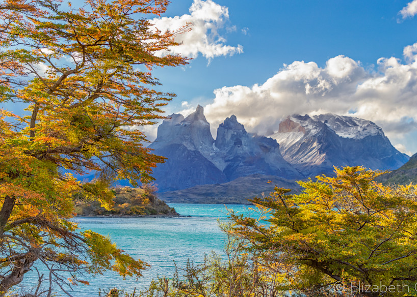 Autumn In Patagonia Art | The Carmel Gallery