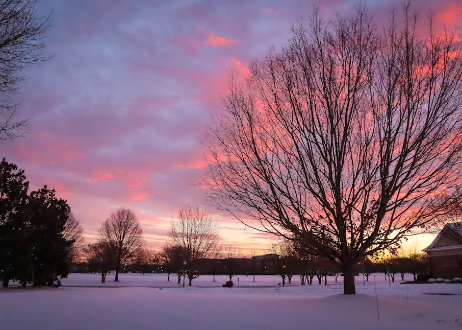 Wannabe Naturalist Snow at sunrise in Mooresville | Eugene L Brill