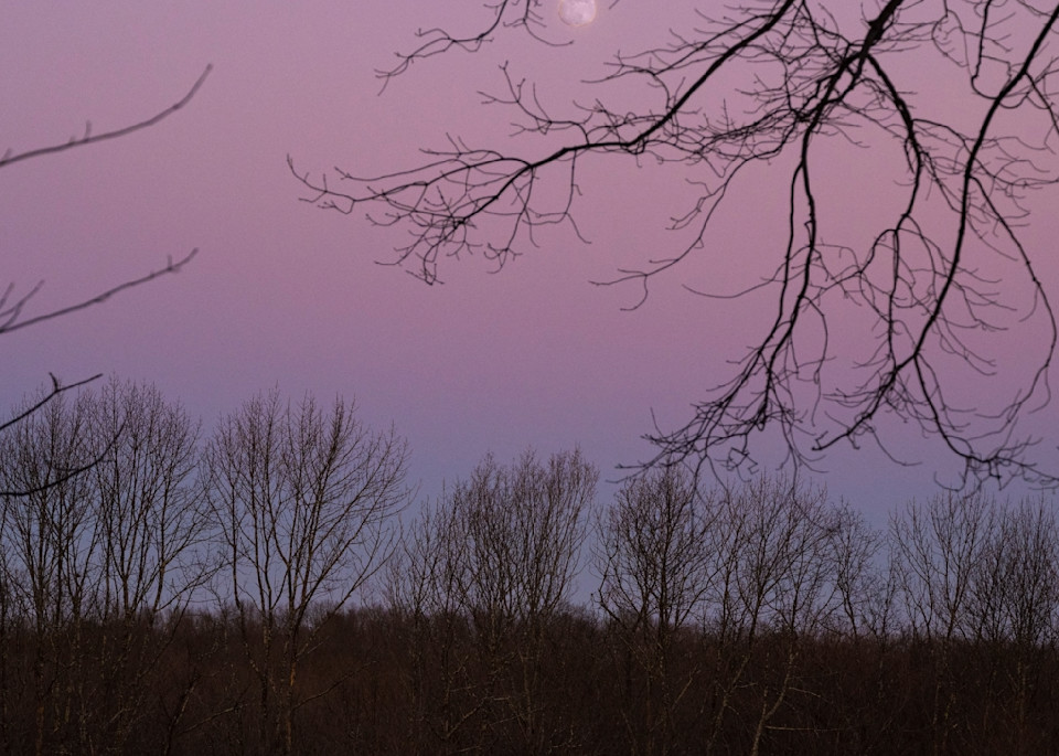 Purple Moon Rising Photography Art | Kim Bova Photography