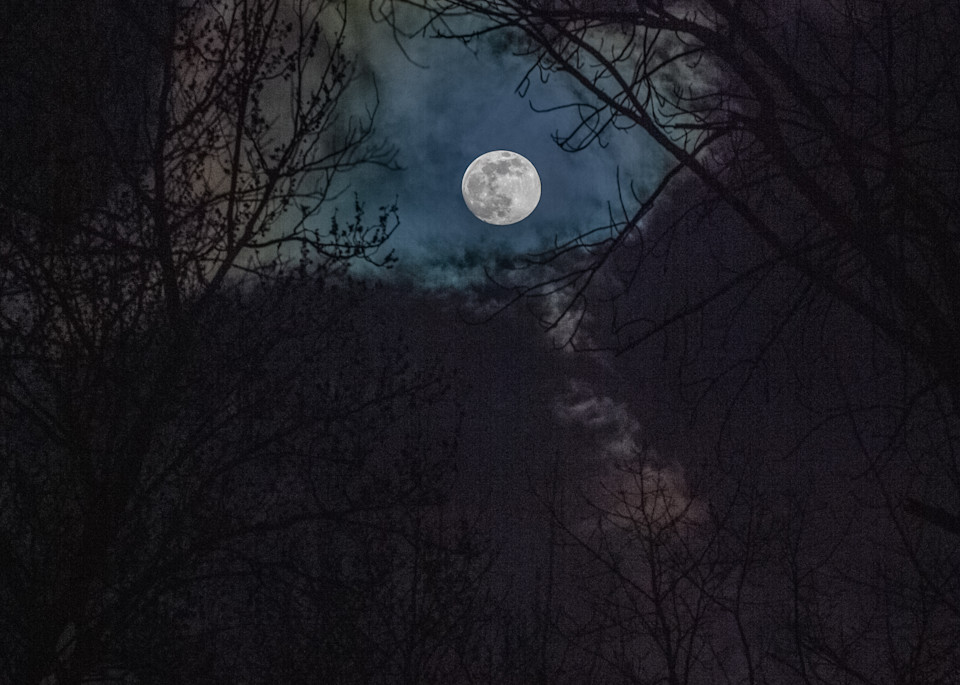 Spring Moon Photography Art | Kim Bova Photography