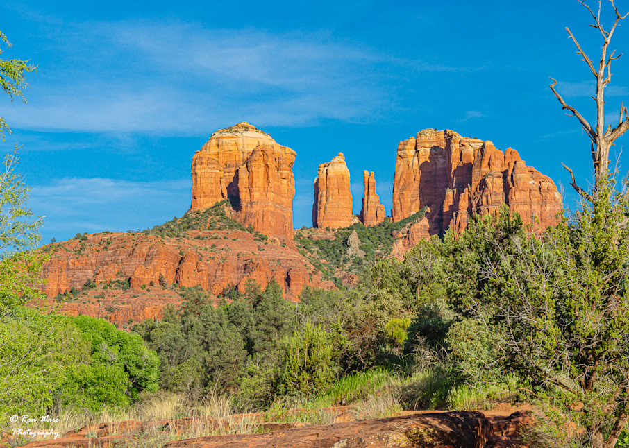 Cathedral Rock Late Afternoon Art | Ron Ware Photography