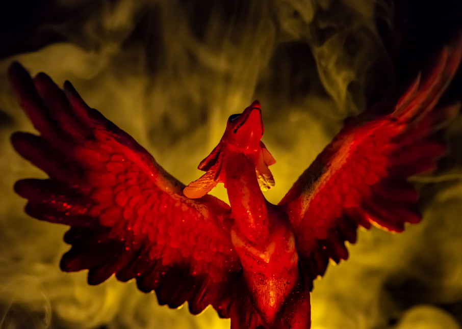 Phoenix Rising by Nathan McDaniel Photography