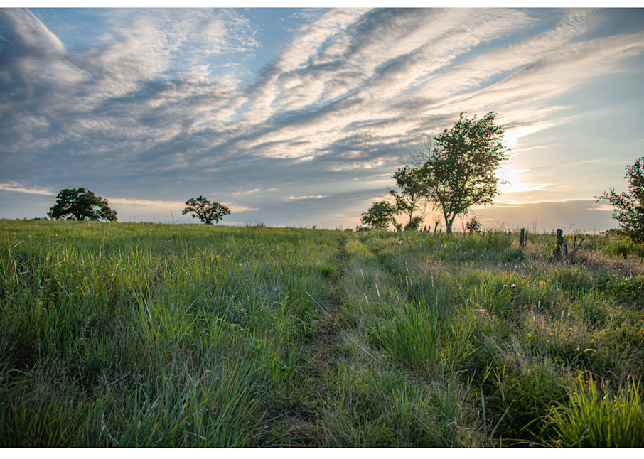 Early Spring Blackland Prairie Sunset Photography Art | Justin Parker Nature Photography