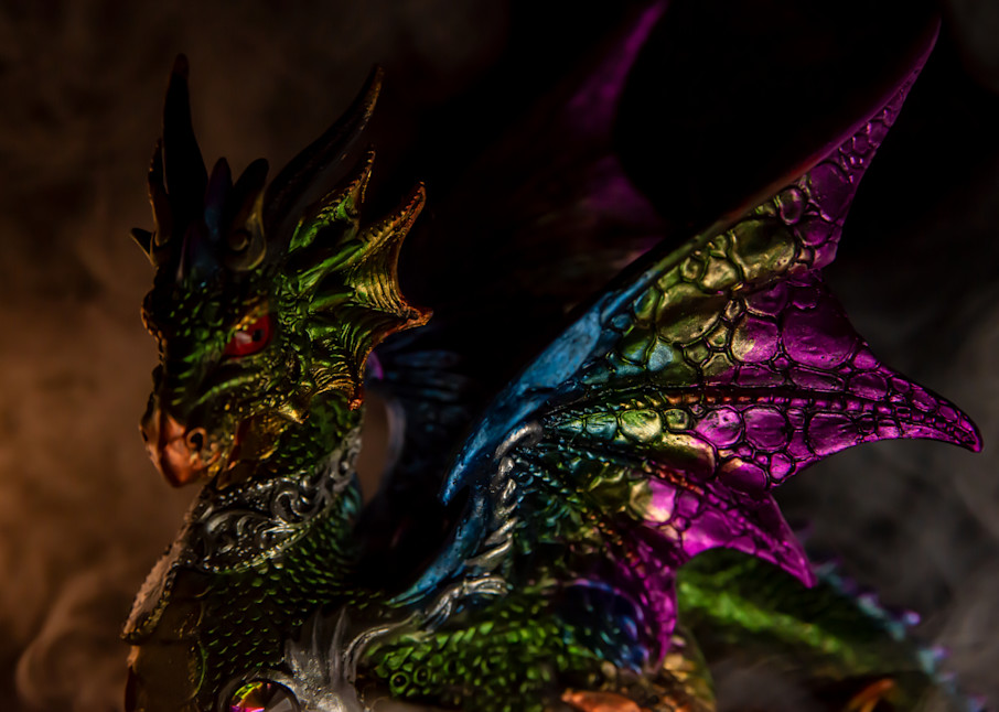 Sassy Dragon by Nathan McDaniel Photography