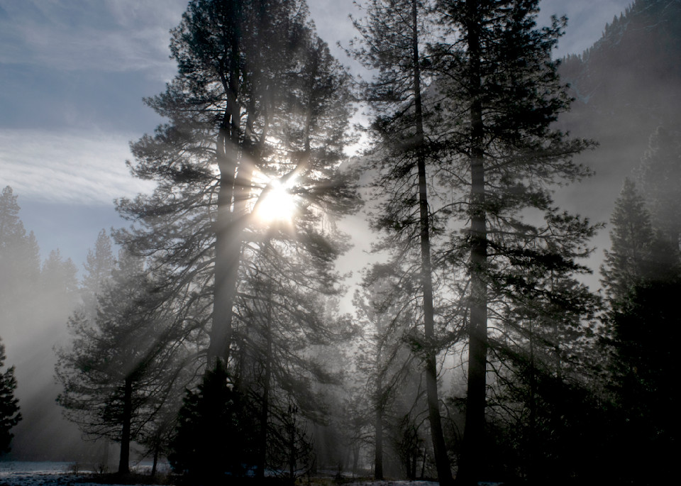 John Wolf   Morning Sun S Rays Yosemite Photography Art | John Wolf Photo