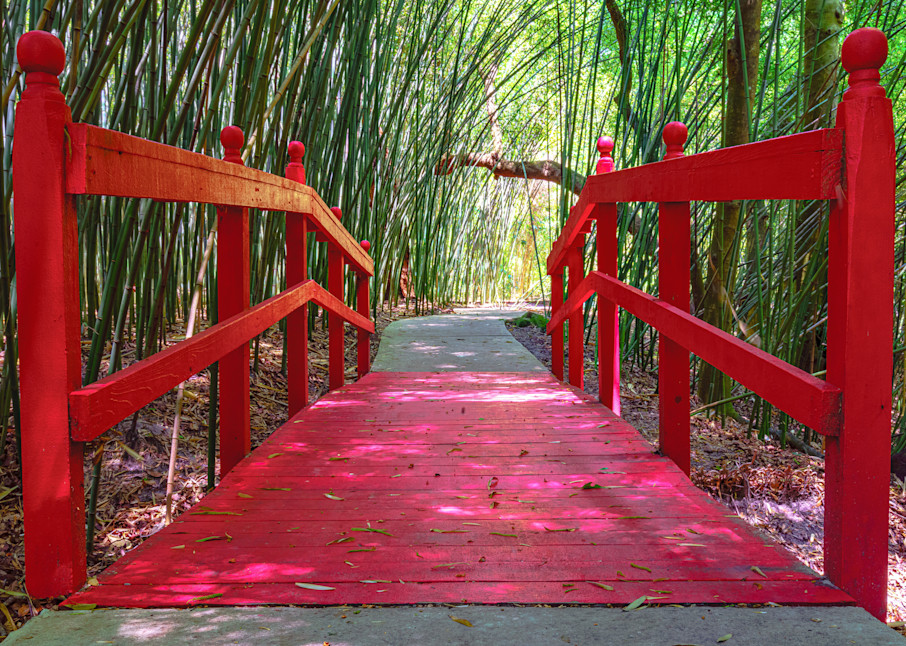 Ridge Bridge and Bamboo at Kanapaha Gardens in Gainesville, FL Fine Art Print