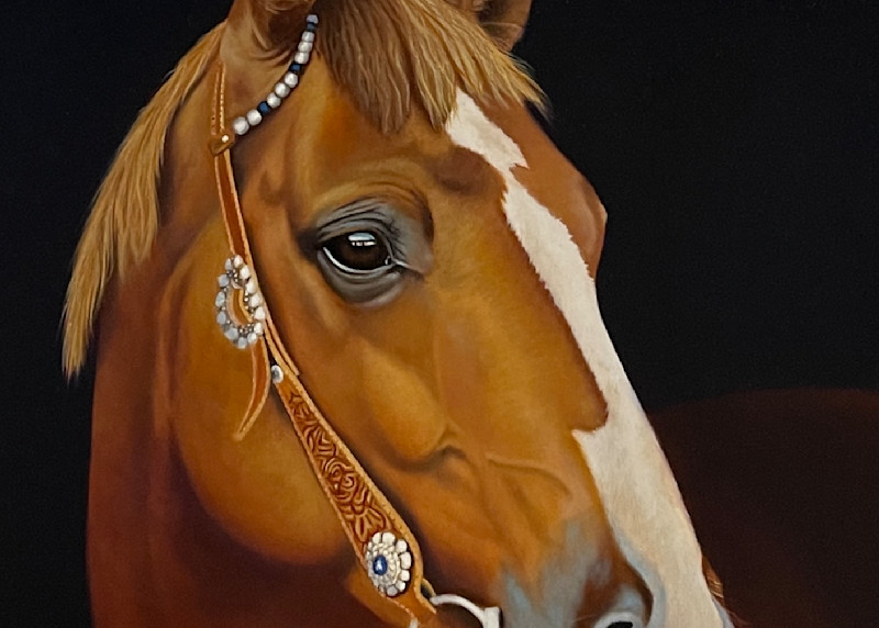 Claire   Horse Art | darladonleyart