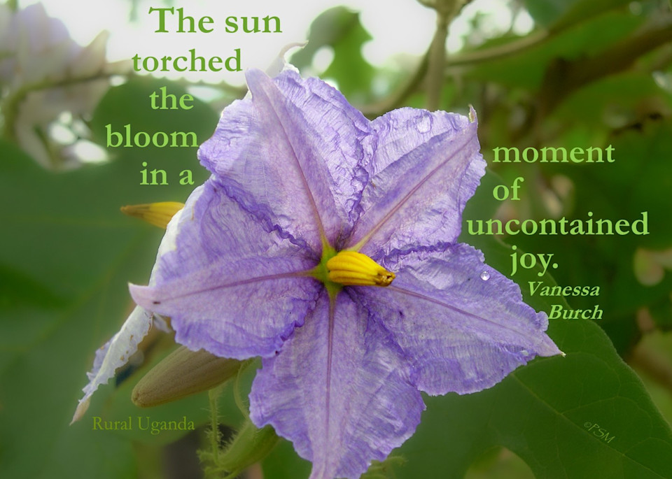 Uganda - Flower Simplicity, with quote
