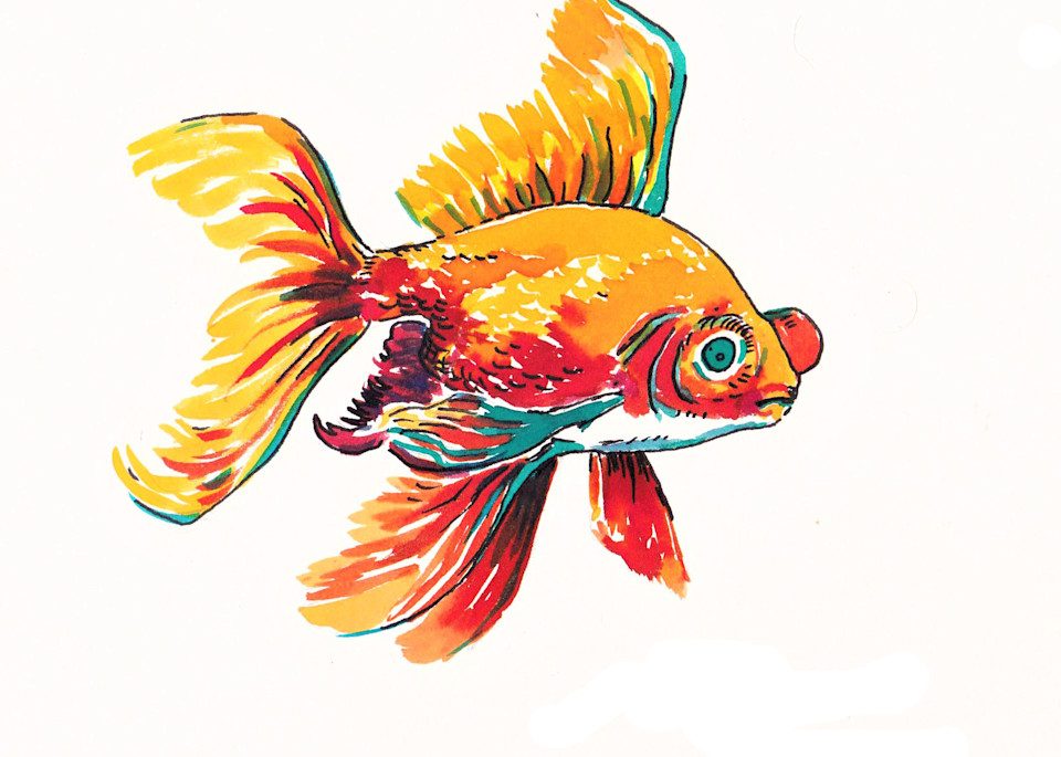Goldfish #4 Art | jasonhancock