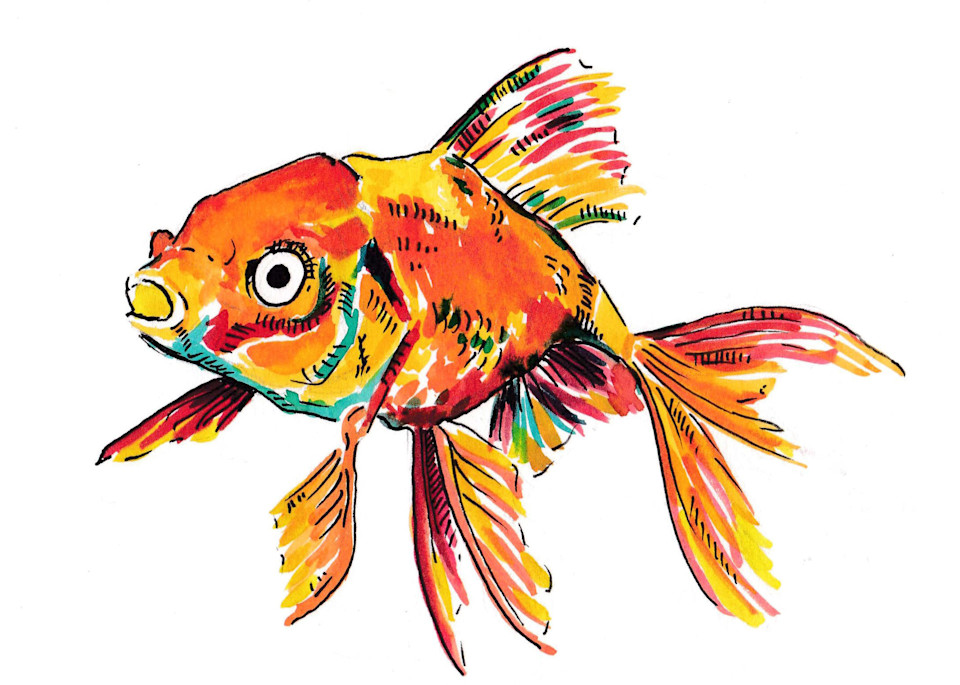 Goldfish #7  Art | jasonhancock