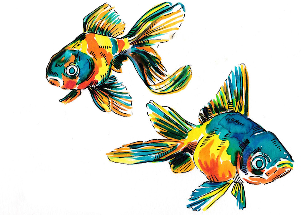 2 Goldfish #1 Art | jasonhancock
