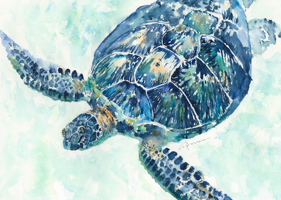 Sea Turtle 8a Watercolor Print | Claudia Hafner Watercolor