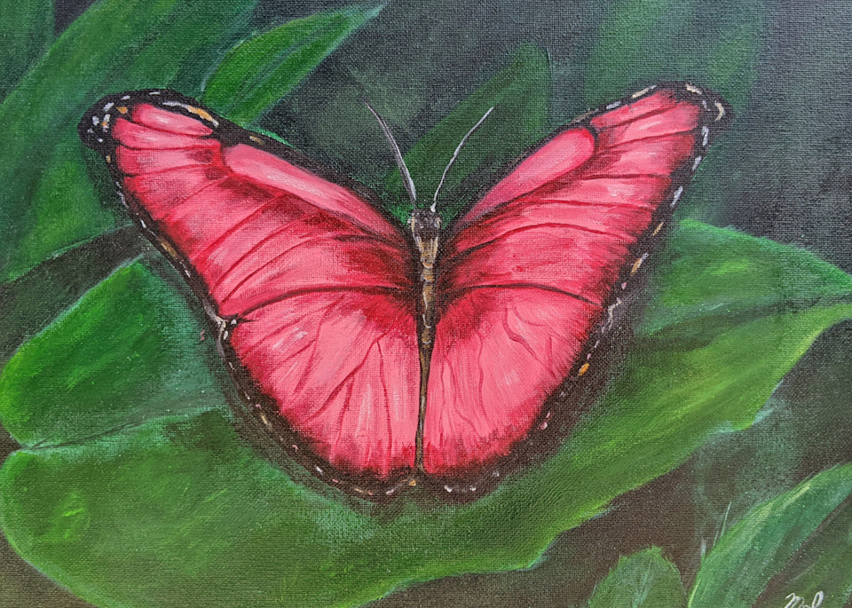 Pink Butterfly Art | Electro Art Studio