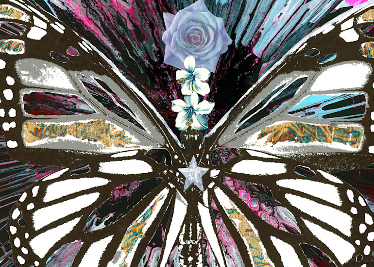Spinpop Balck Butterfly 2 Art | perrymilou