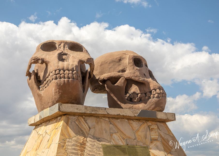 Serengeti Monument Photography Art | waynesimpson