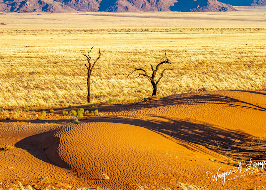 Namibia Photography Art | waynesimpson
