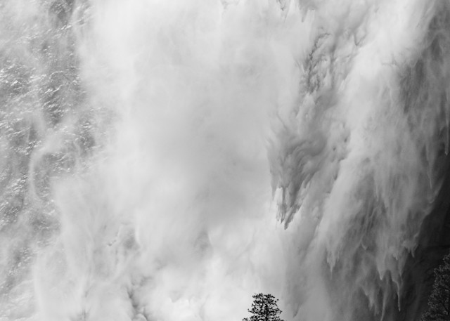 Lone Tree, Yosemite Falls Art | Leiken Photography