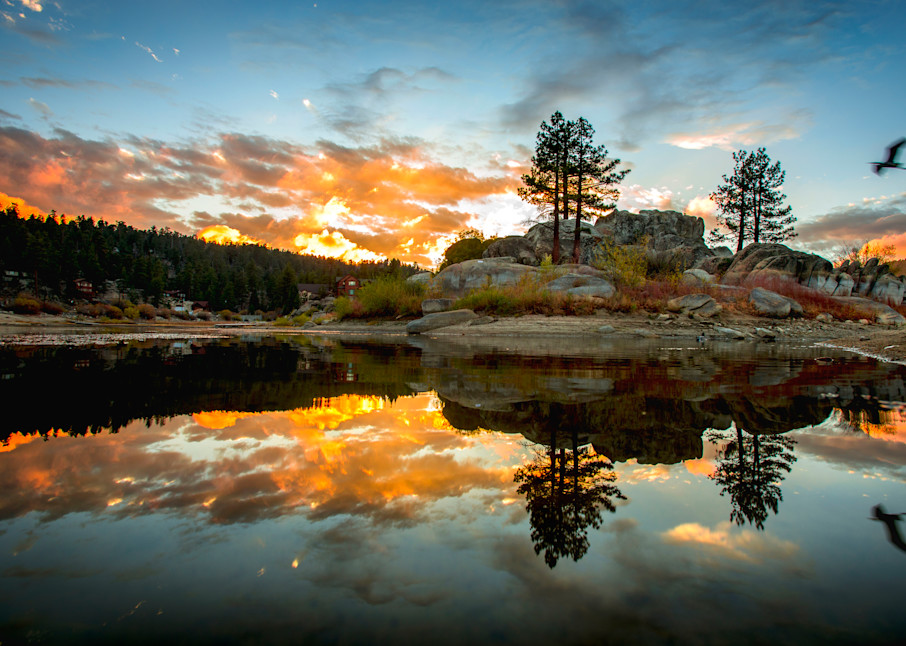 Boulder Bay Sunset Flying Heron Photography Art | Eric Reed Photography