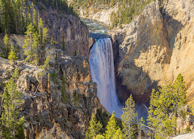 Tco Lower Falls Of The Yellowstone River Portrait Art | Open Range Images