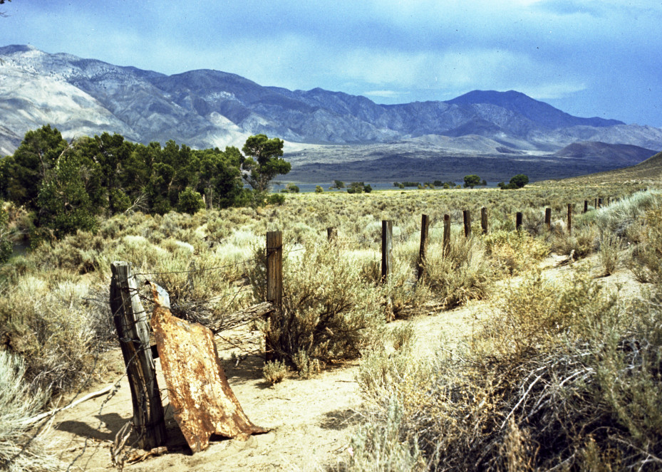 Fence In The Desert 005 Photography Art | John Wolf Photo