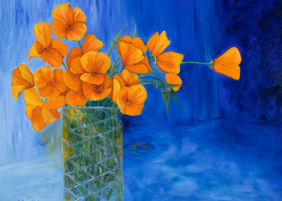 California Poppies  Art | Janice Pastor Fine Art