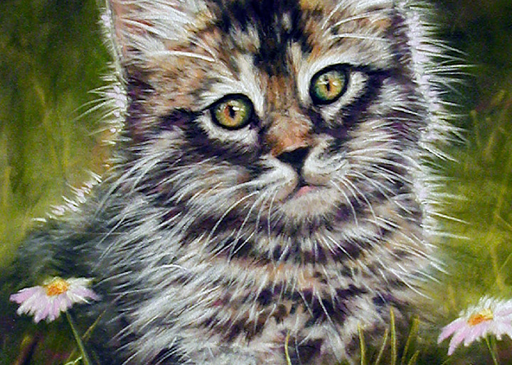 Just Kitten Art |  Deb Copple - Art By Nature