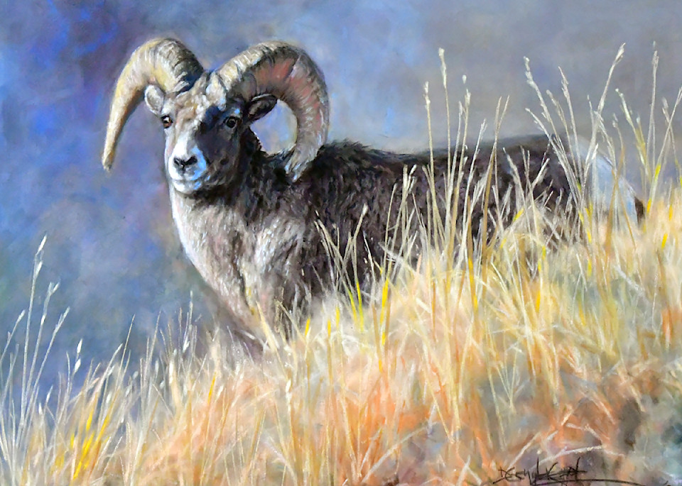 Out In The Open  Art |  Deb Copple - Art By Nature