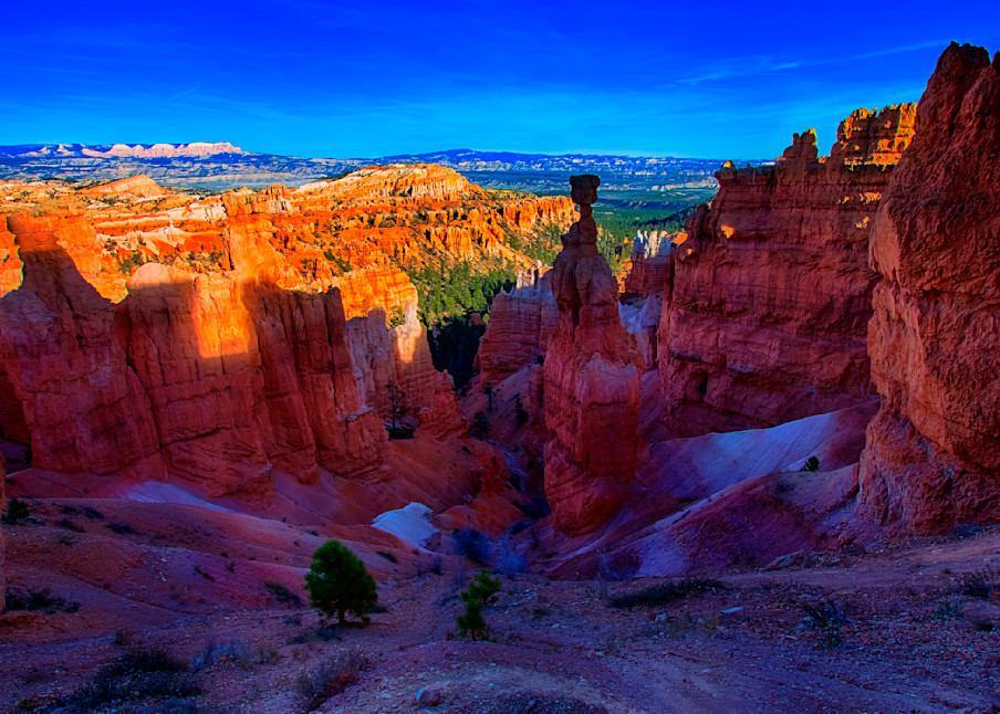 Bryce Canyon National Park   Utah Photography Art | mustafawahid