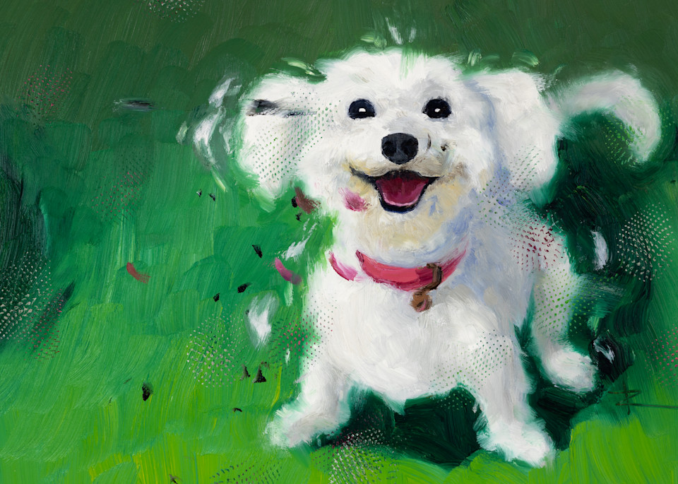 20220614 Fluffy White Puppy  Art | Rich Wilkie inc