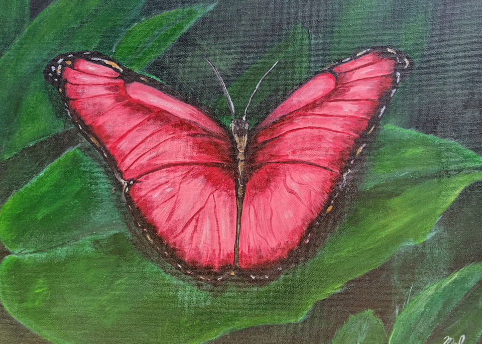 Pink Butterfly Art | Electro Art Studio