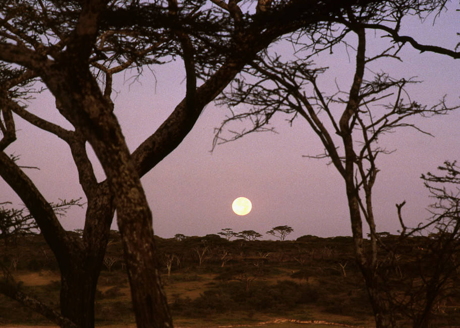 Moonset, Tanzania