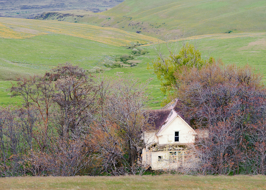 Old Farm House, Columbia Hills State Park, Washington, 2014