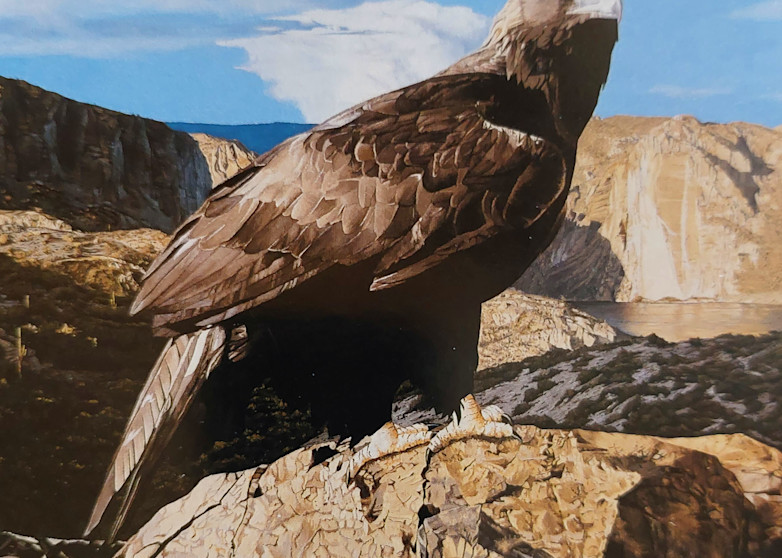 The Lookout   Golden Eagle At Canyon Lake Art | Russ Cannizzaro Fine Arts