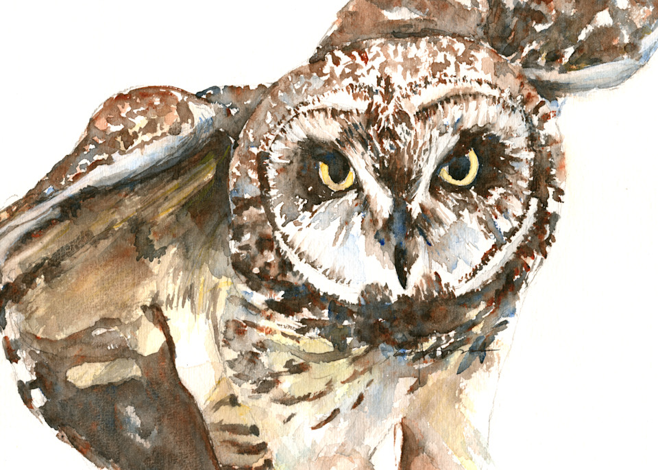 Pueo Hawaiian Owl Art | Claudia Hafner Watercolor